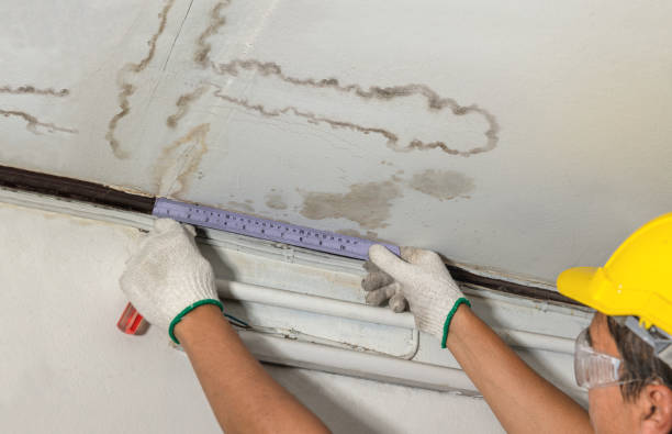 Reliable Mold Remediation contractor in Houston, MO by Local Water Damage Repair